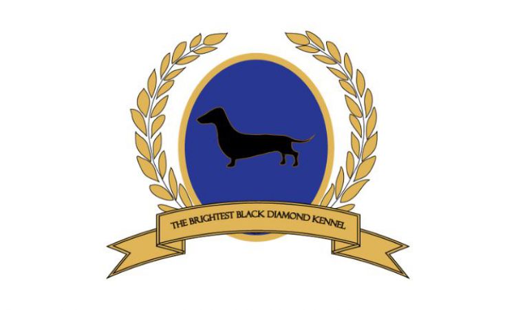 The Brightest Black Diamond Kennel