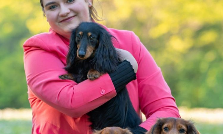 Herz Diamant Hosszúszőrű Tacskó kennel