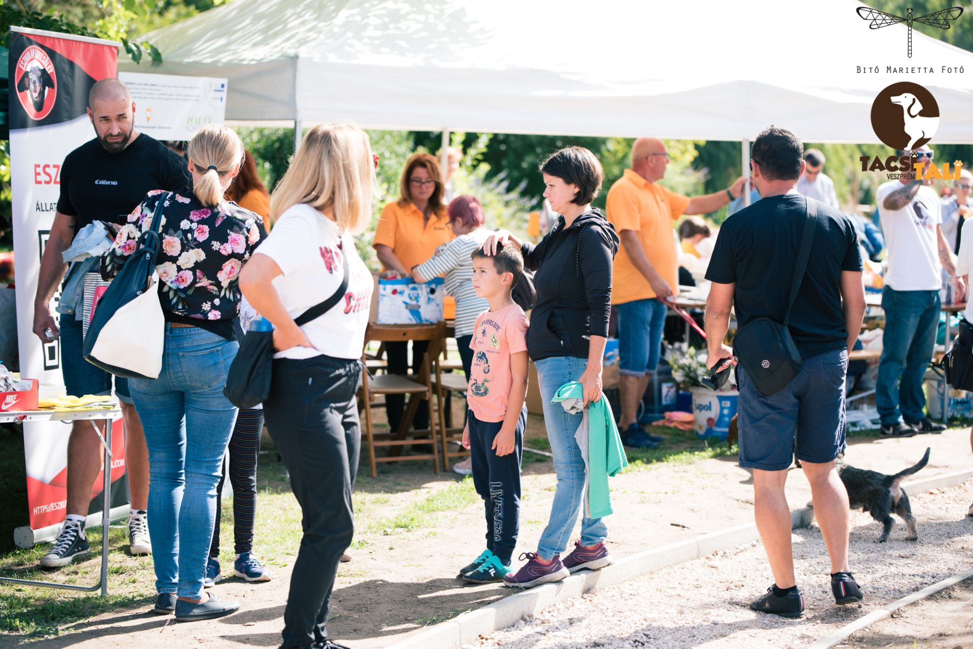 Tacsi Tali Veszprém 2022