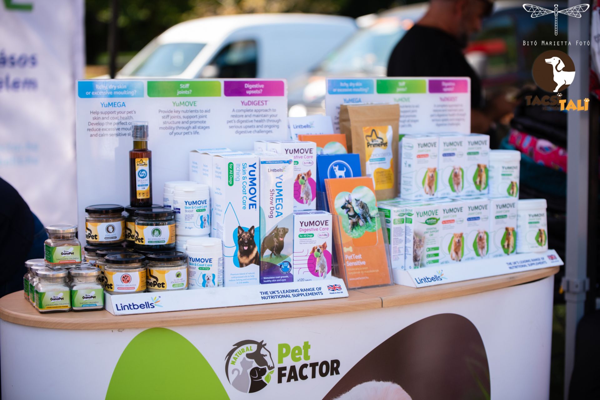 Tacsi Tali Veszprém 2023