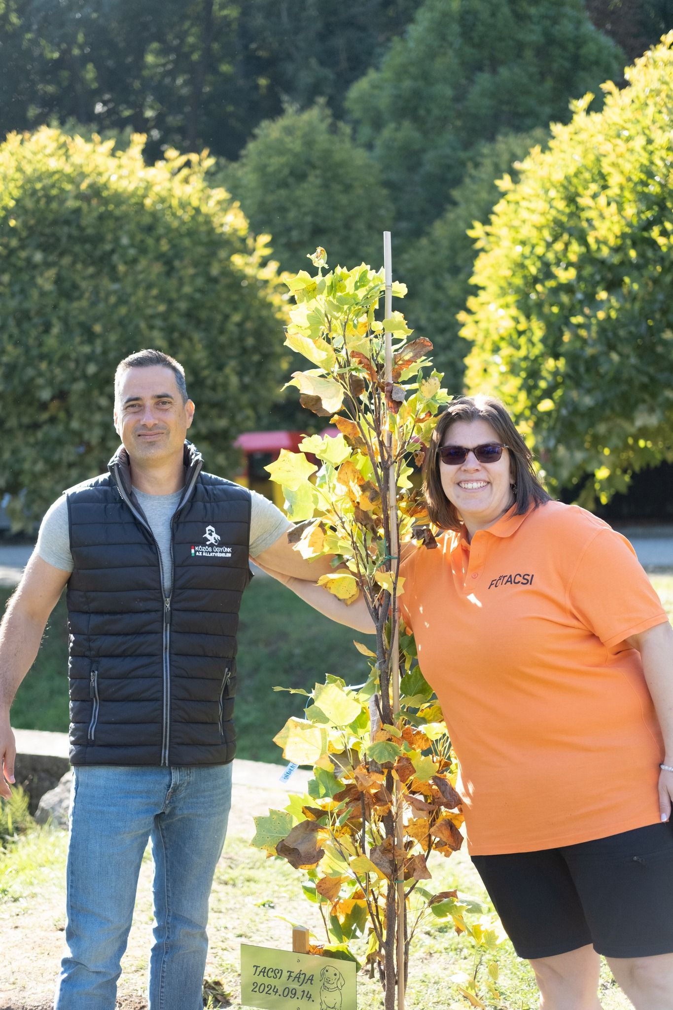 Tacsi Tali Veszprém 2024