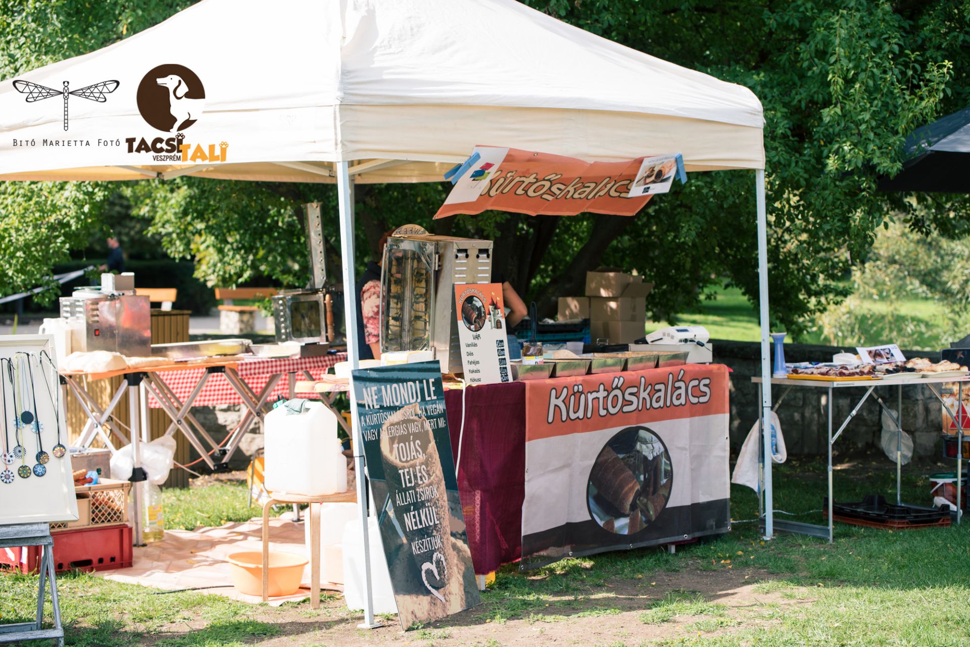 Tacsi Tali Veszprém 2022