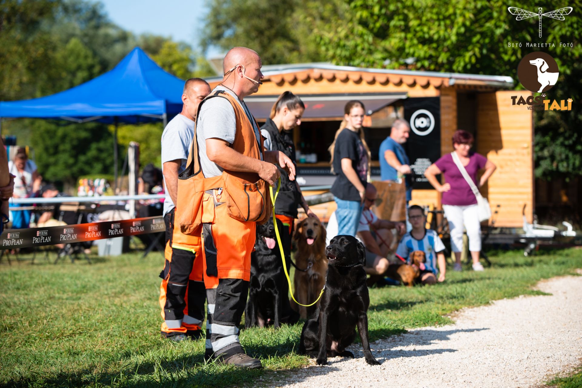 Tacsi Tali Veszprém 2023