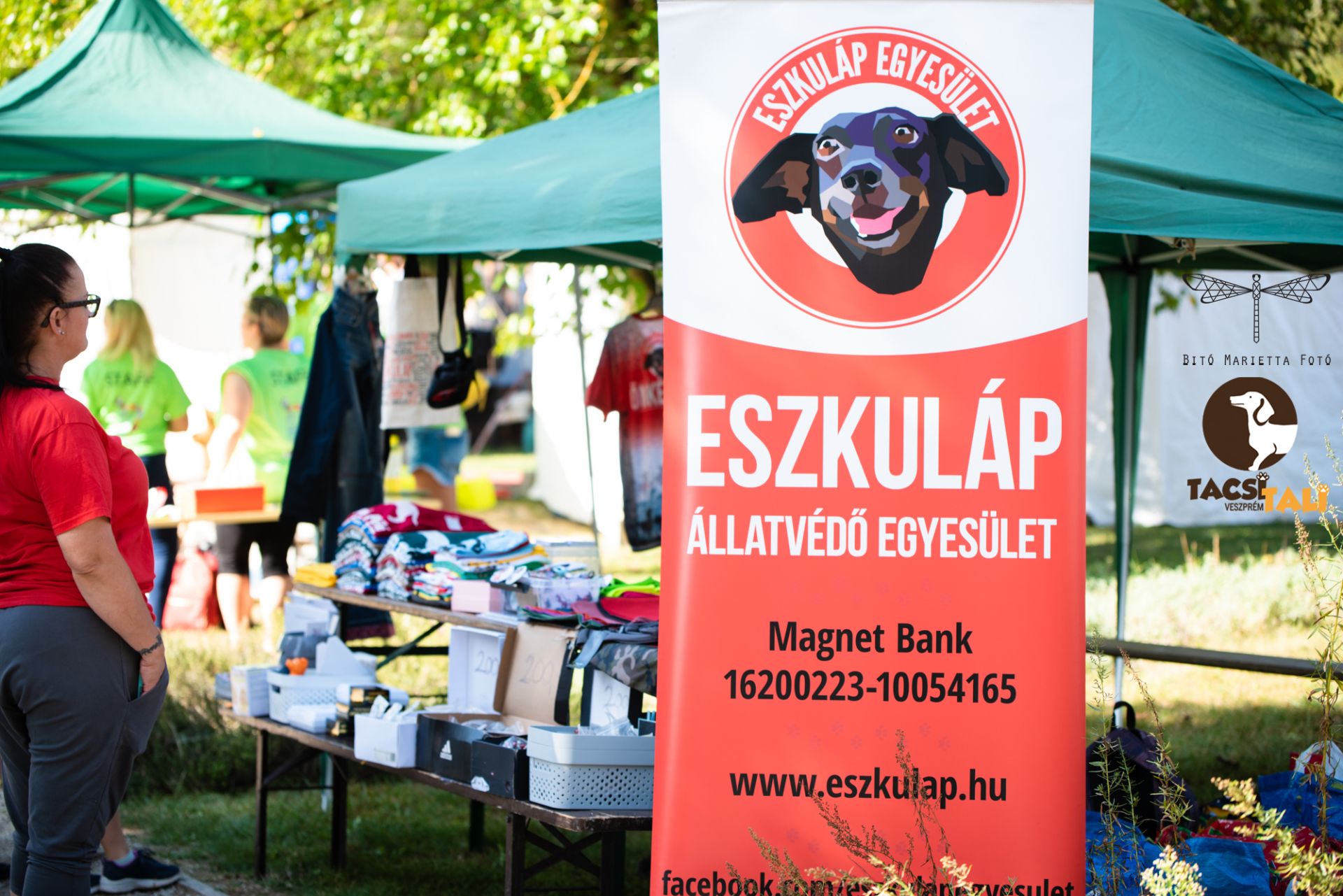 Tacsi Tali Veszprém 2023