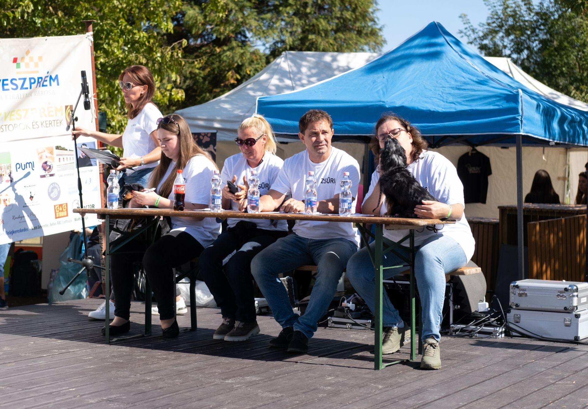 Tacsi Tali Veszprém 2024