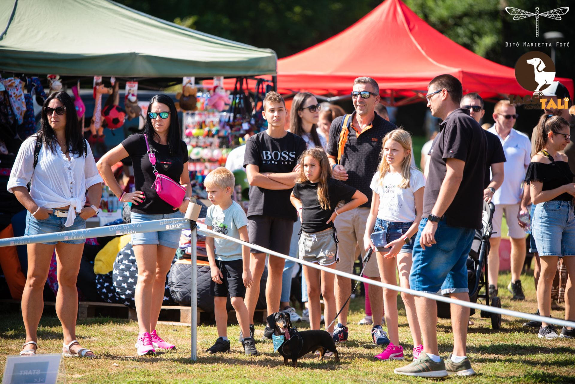 Tacsi Tali Veszprém 2023