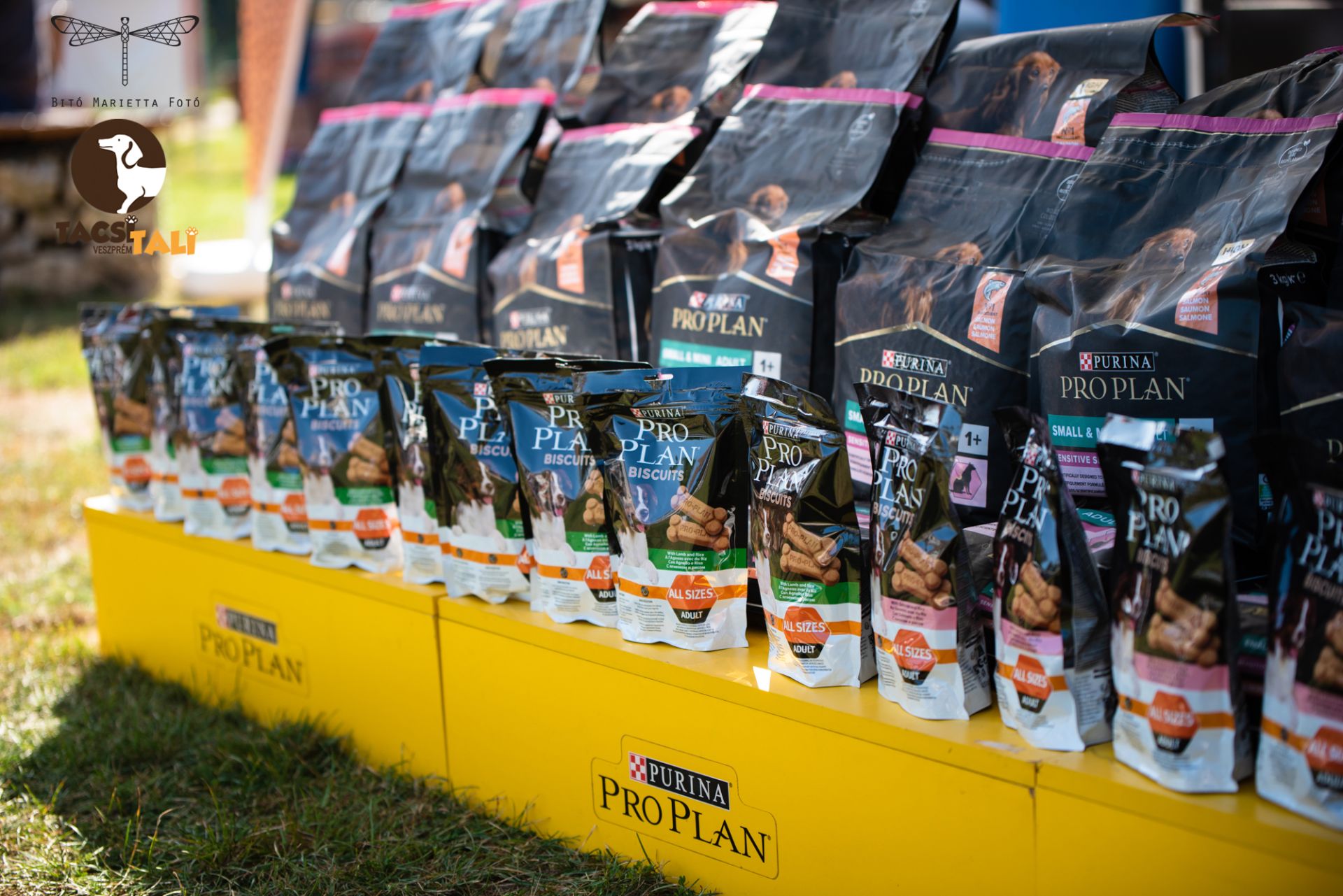 Tacsi Tali Veszprém 2023