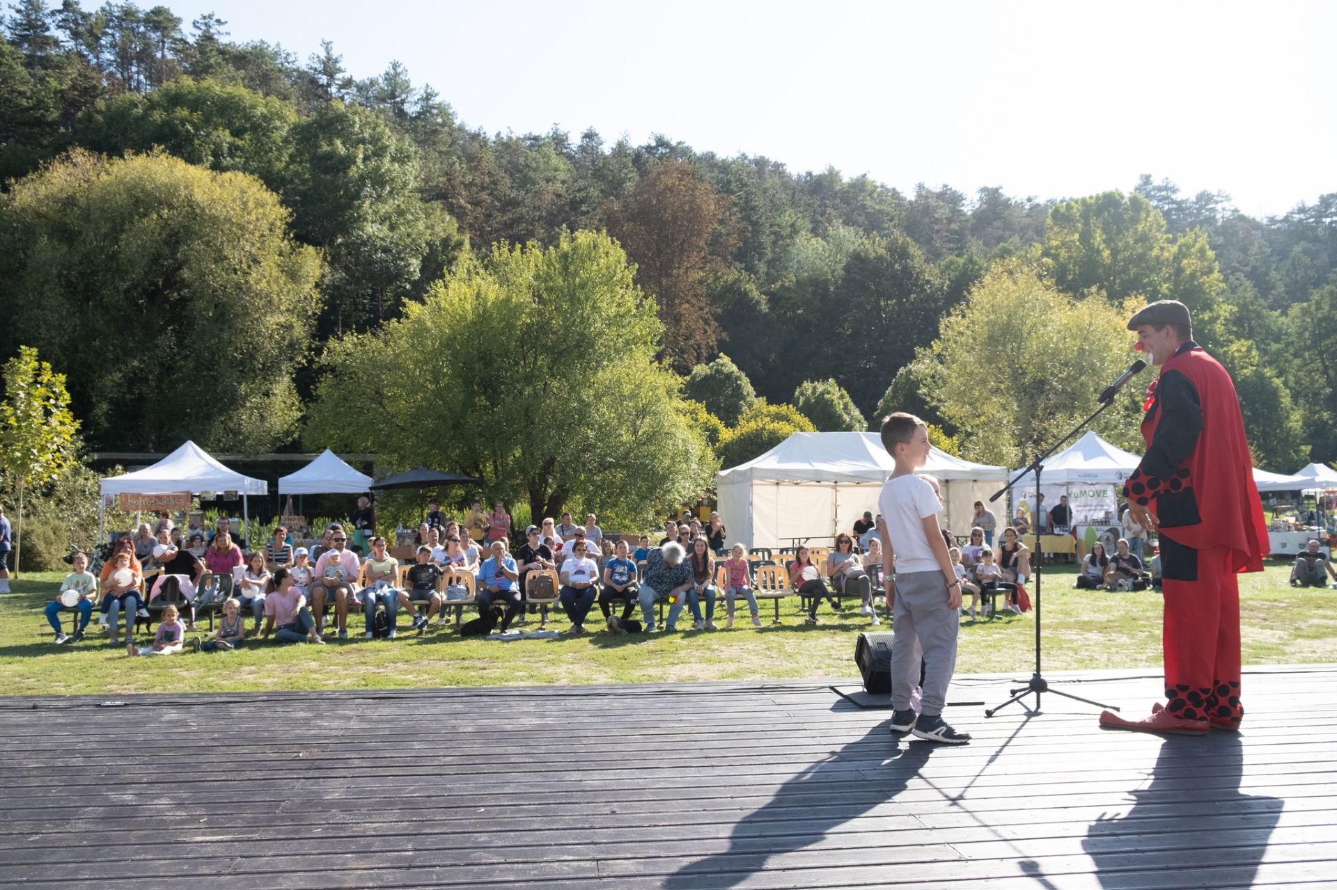 Tacsi Tali Veszprém 2024