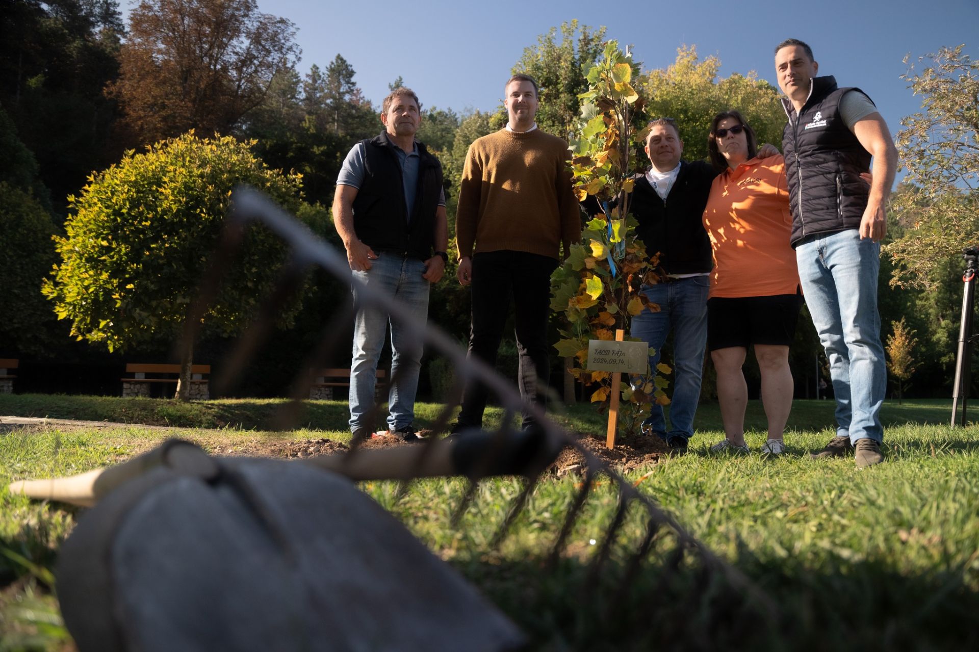 Tacsi Tali Veszprém 2024