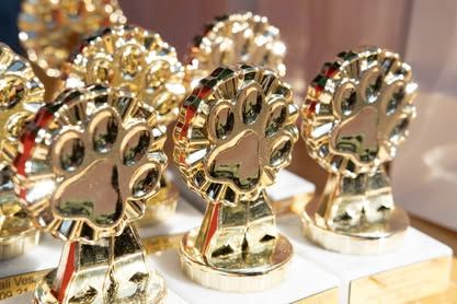 Tacsi Tali Veszprém 2024