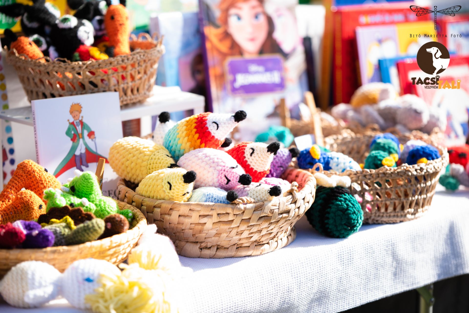 Tacsi Tali Veszprém 2023