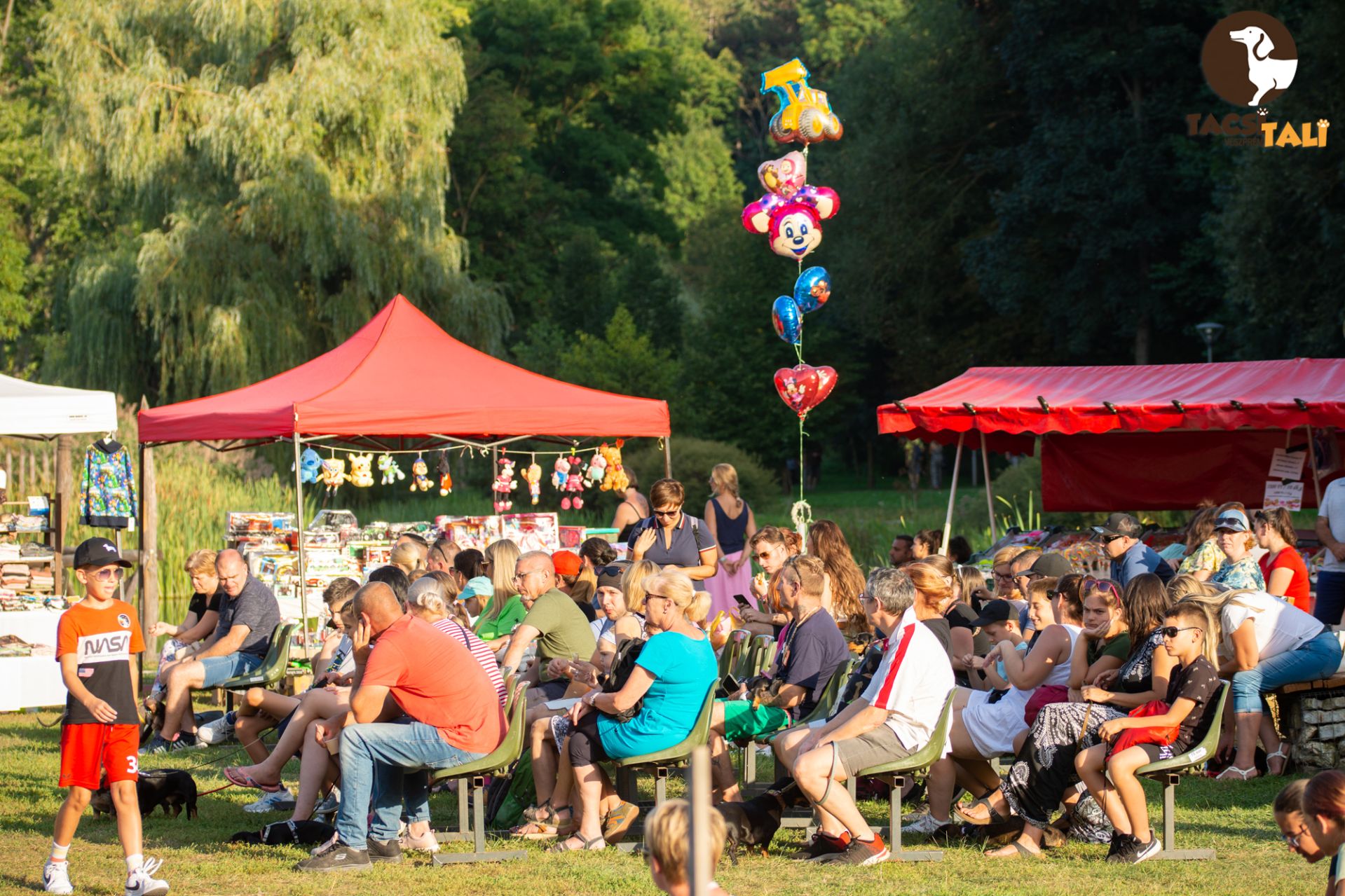 Tacsi Tali Veszprém 2023