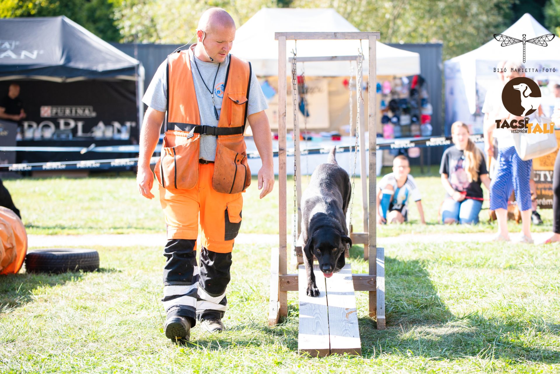 Tacsi Tali Veszprém 2023