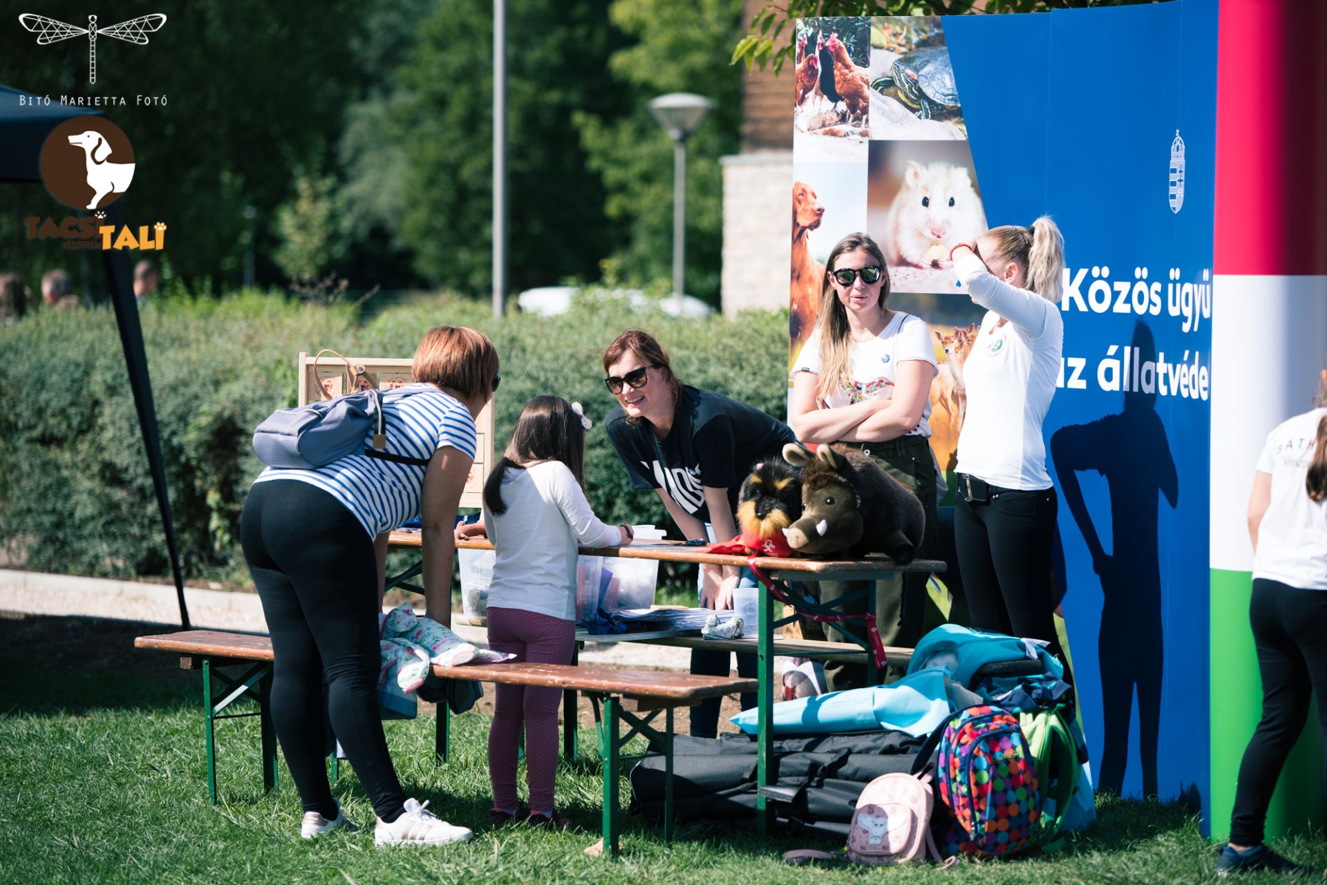 Tacsi Tali Veszprém 2022