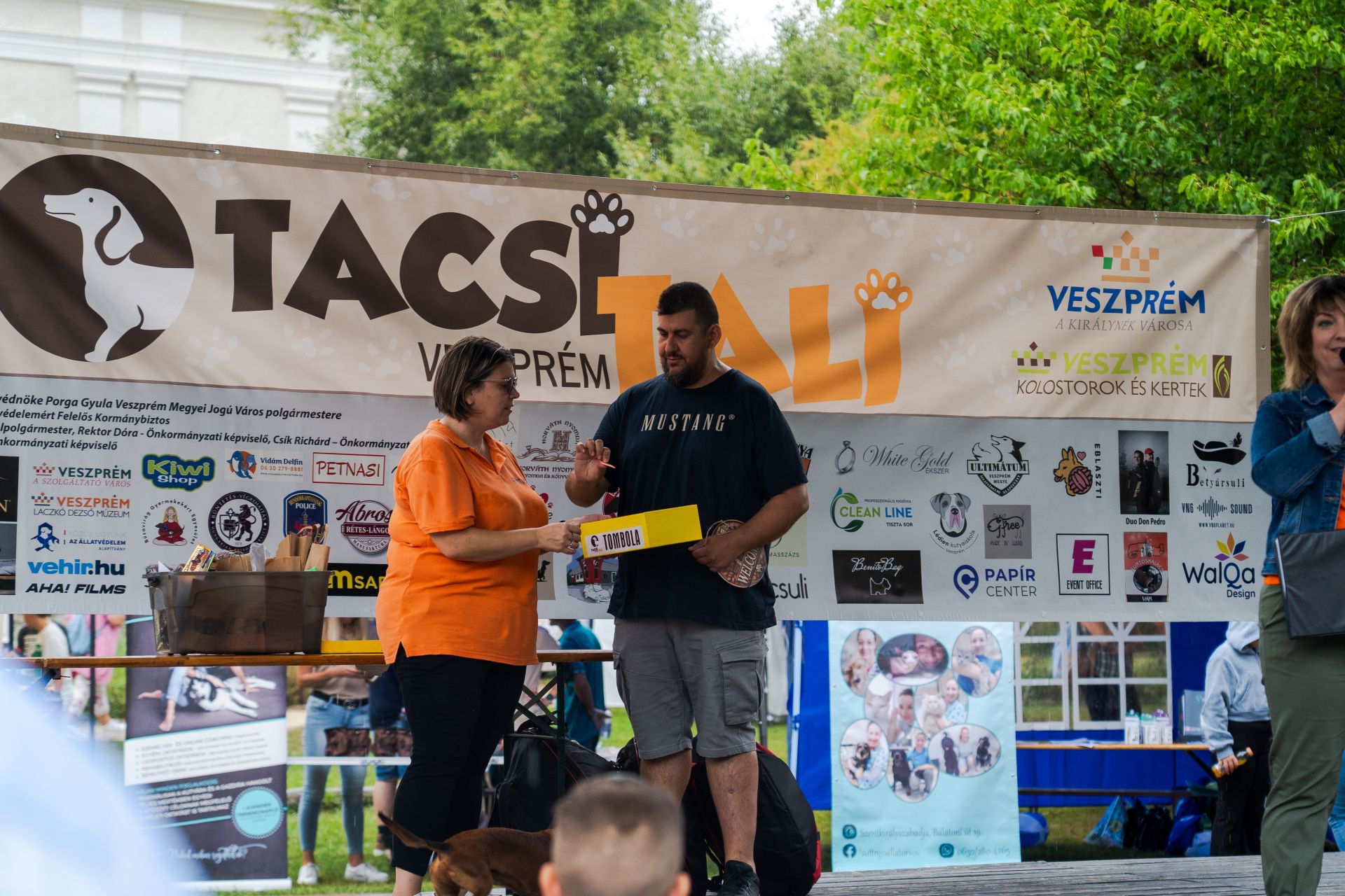 Tacsi Tali Veszprém 2025