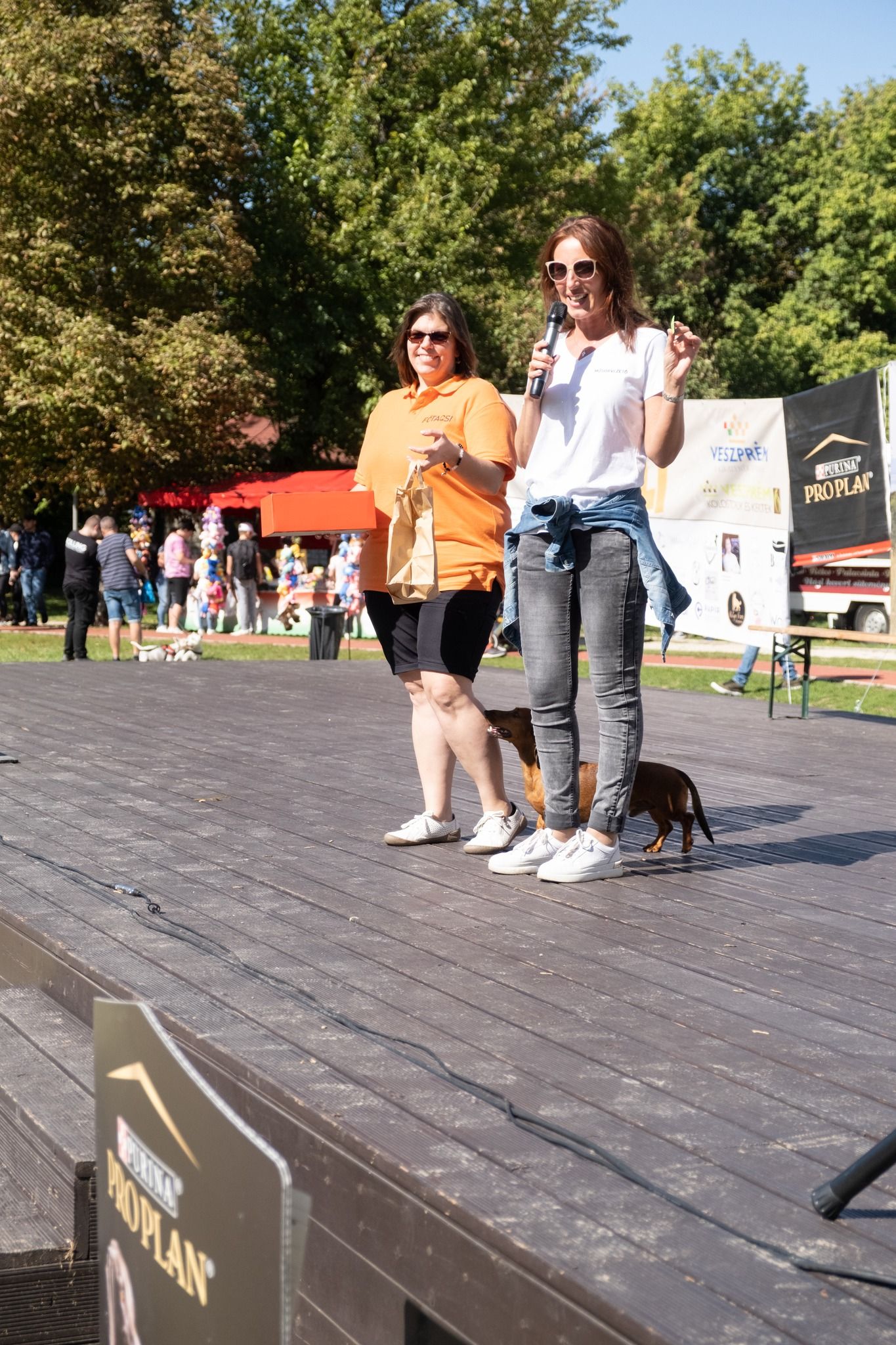 Tacsi Tali Veszprém 2024