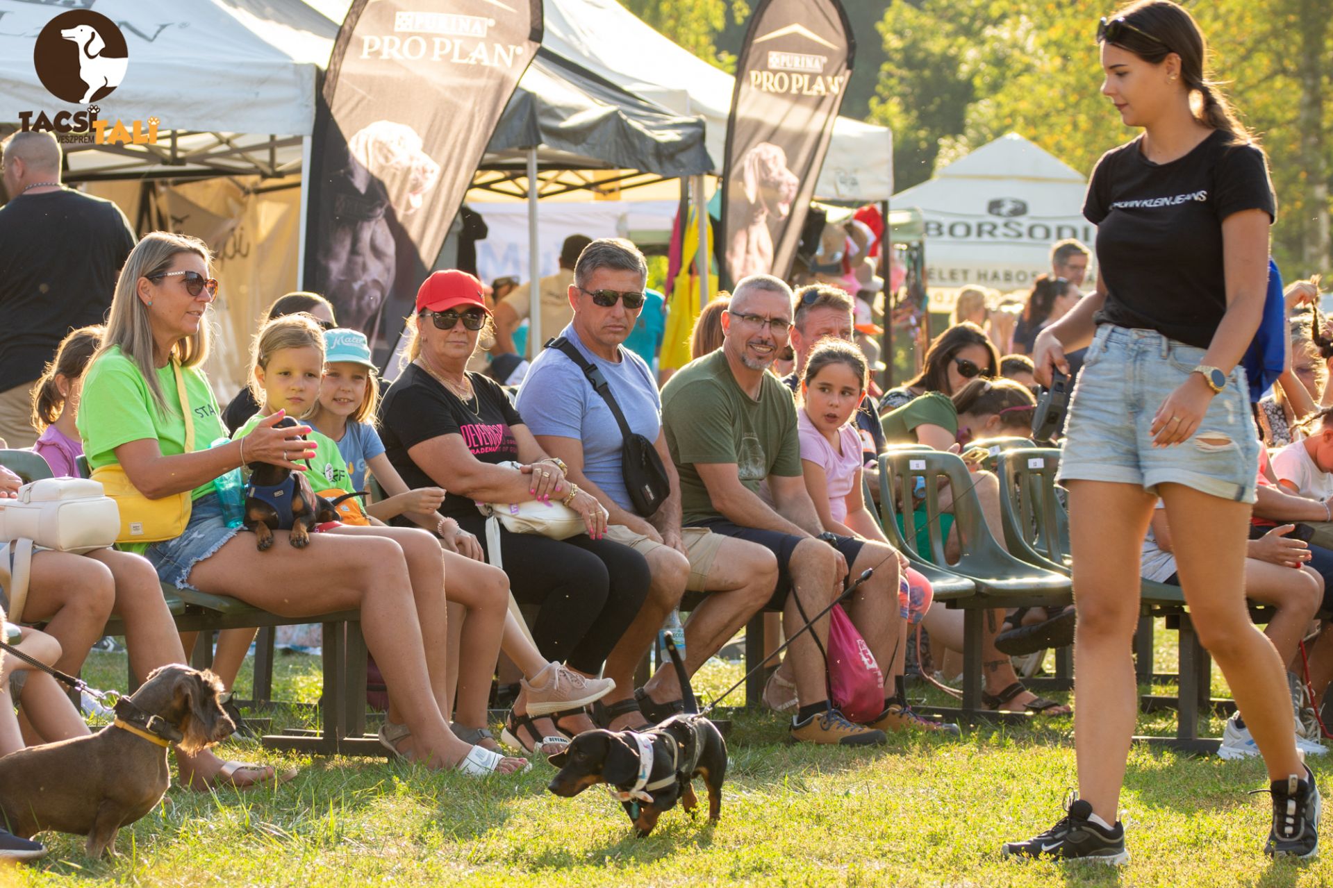 Tacsi Tali Veszprém 2023