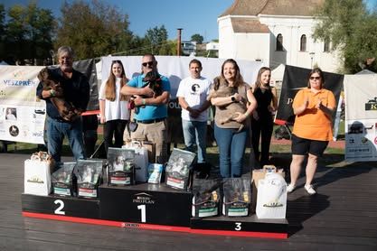 Tacsi Tali Veszprém 2024