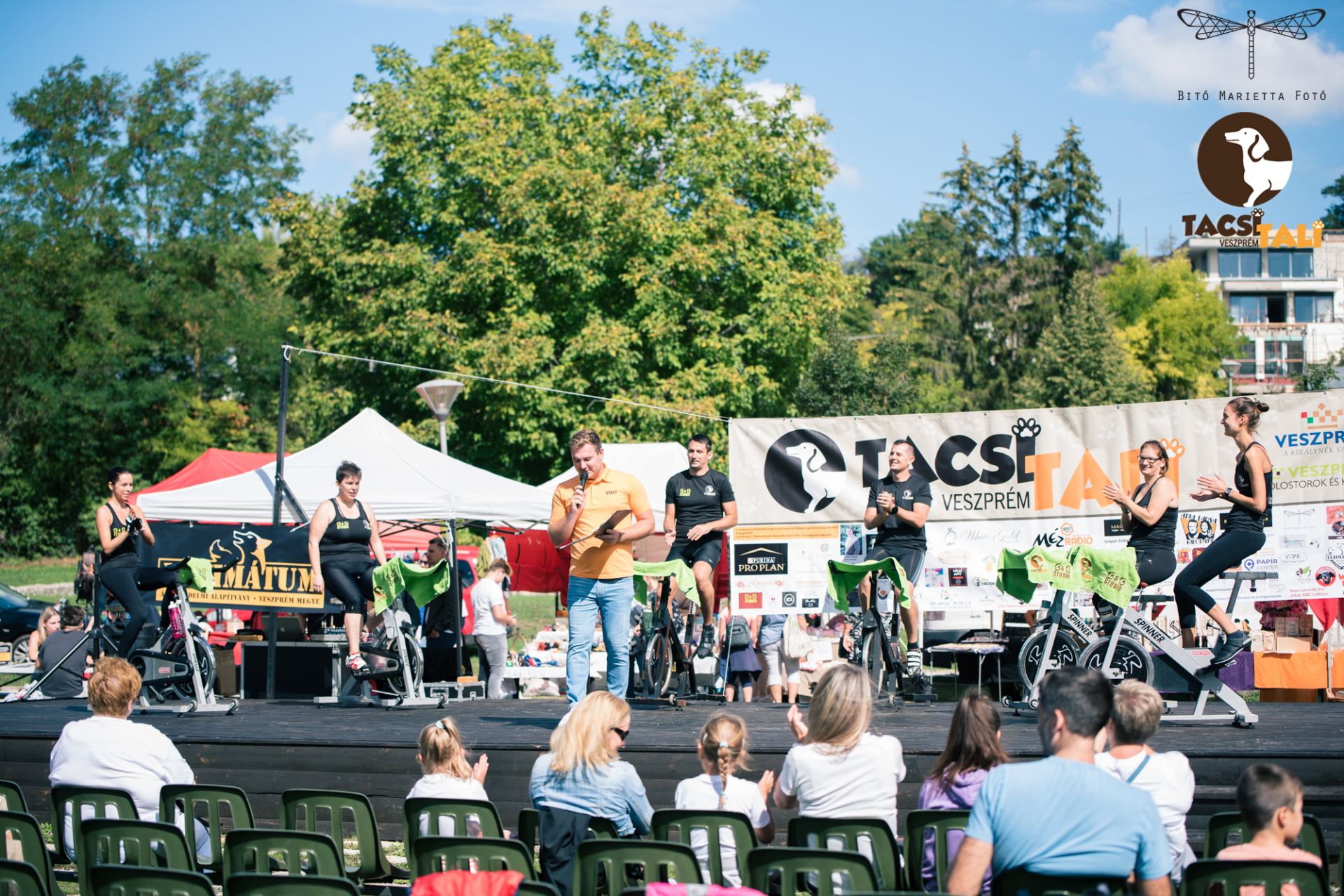 Tacsi Tali Veszprém 2022