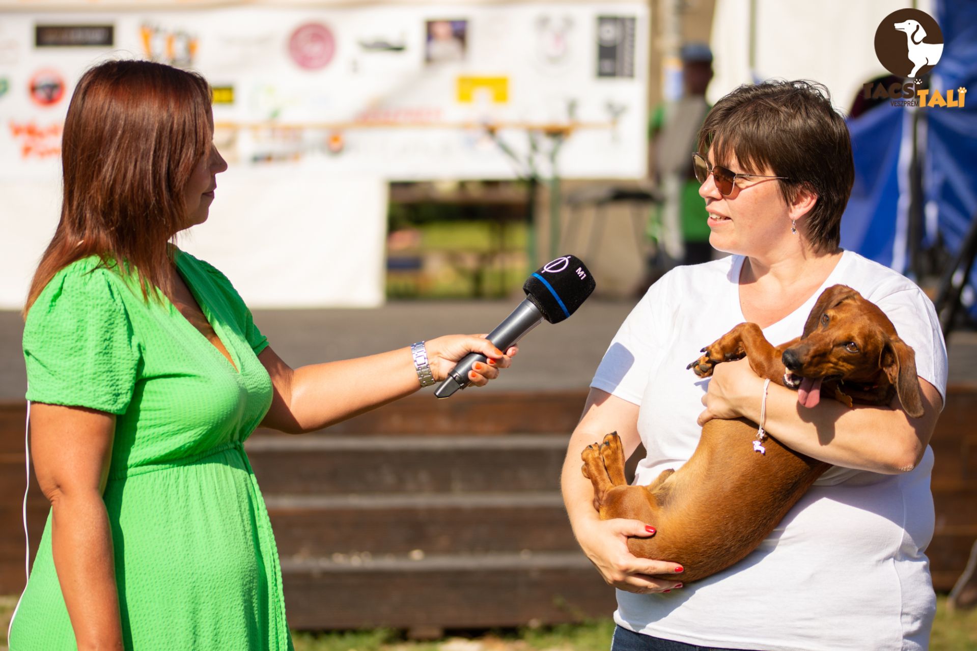 Tacsi Tali Veszprém 2023