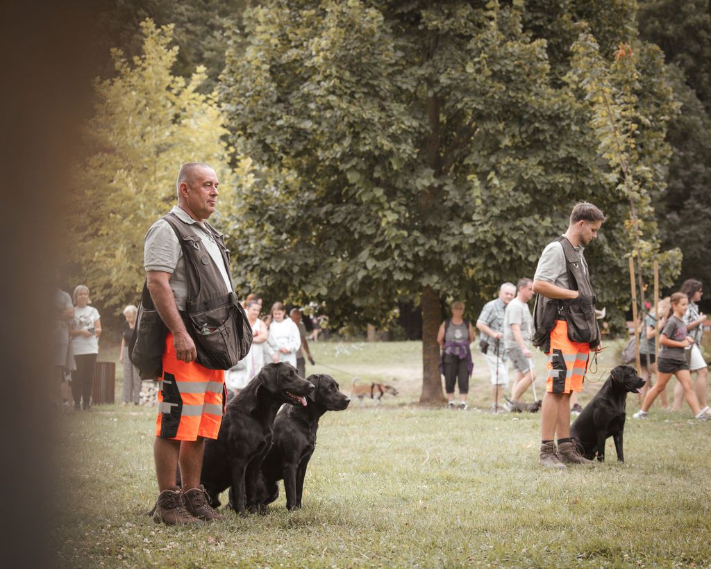 Tacsi Tali Veszprém 2026
