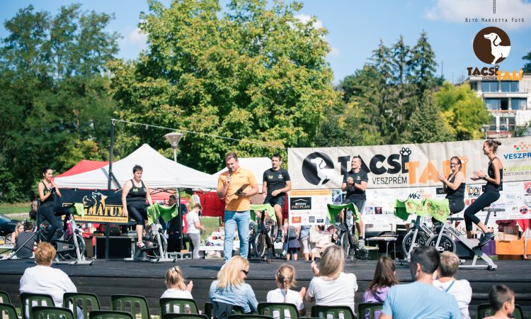 Tacsi Tali Veszprém 2022