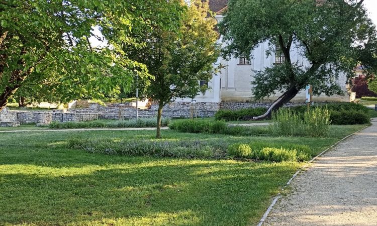 7 éves a Tacsi Tali Veszprém,